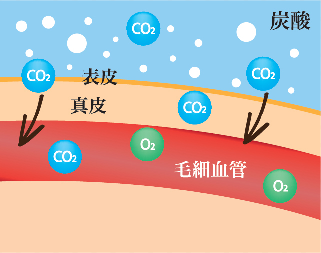 炭酸ガスが取り込まれるイメージ