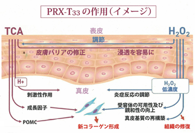 マッサージピーリング（PRX-T33）